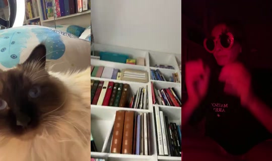 Ophenya_'s Live Session — Jul 31, 2026, 7:17 PM