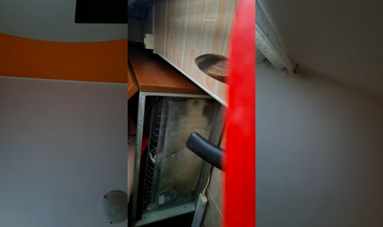 1114845494's Live Session — May 29, 2026, 10:05 AM