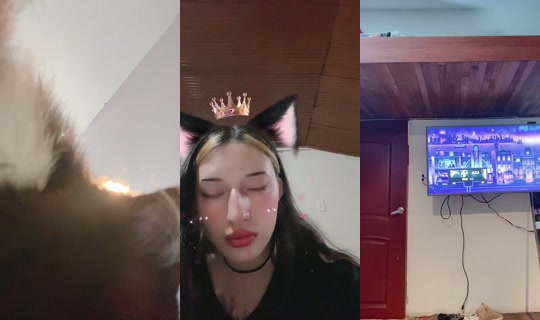 968786079's Live Session — May 20, 2026, 3:13 AM