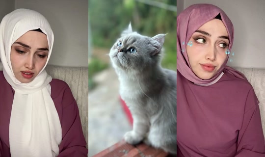 Kedi.Annesi's Live Session — May 24, 2026, 3:51 PM