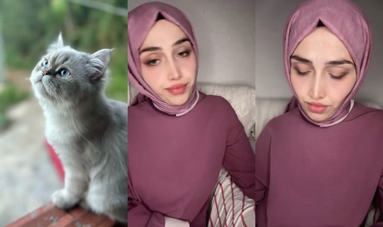 Kedi.Annesi's Live Session — May 24, 2026, 10:20 PM