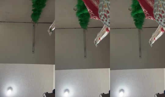 ba.lecaah's Live Session — May 24, 2026, 9:54 PM