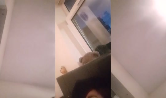 Tasha007....'s Live Session — Jul 3, 2026, 9:48 PM
