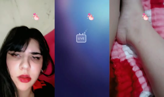 13286361's Live Session — Jun 16, 2026, 5:03 AM