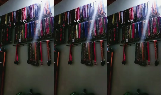 15645814's Live Session — Jul 5, 2026, 1:37 AM