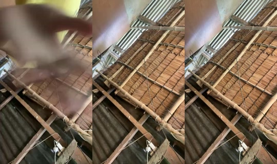 17408876's Live Session — Jun 15, 2026, 2:51 AM