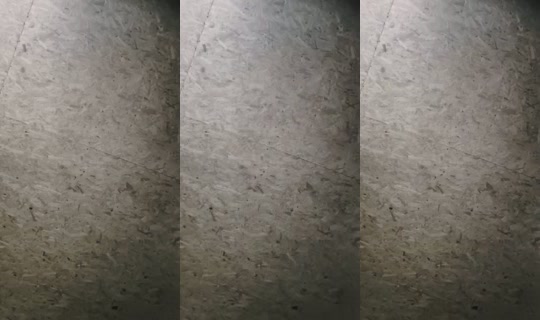 18877083's Live Session — Jun 27, 2026, 4:08 AM