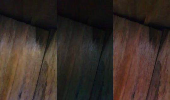19411657's Live Session — Jun 11, 2026, 5:40 PM