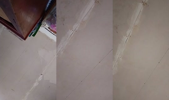 23931901's Live Session — Jun 28, 2026, 2:54 AM