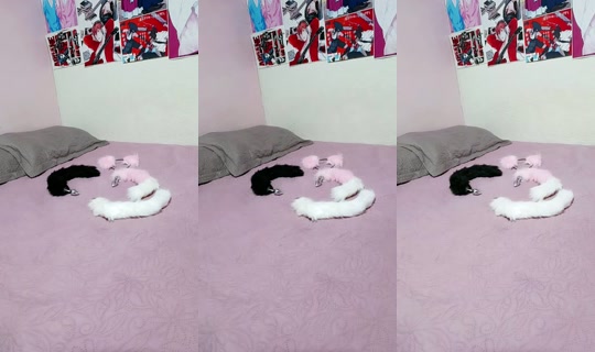 24117062's Live Session — Jun 15, 2026, 7:46 PM