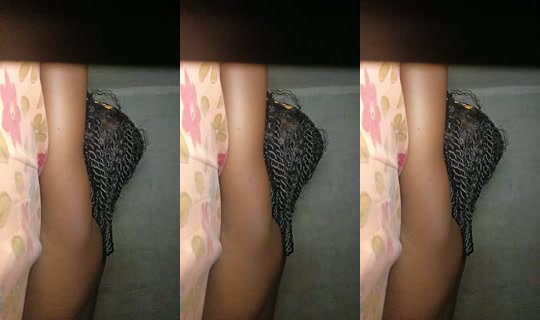 24614873's Live Session — Jun 27, 2026, 3:26 AM