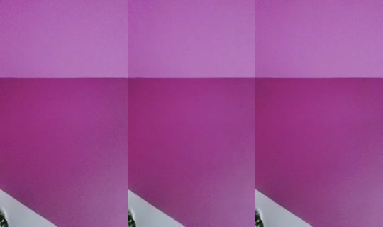 25570117's Live Session — Jun 5, 2026, 10:12 PM