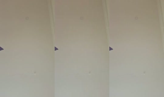 26259329's Live Session — Jun 26, 2026, 7:37 PM