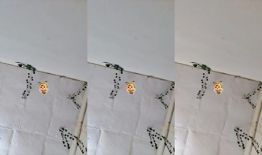 26364271's Live Session — Jun 27, 2026, 5:22 AM