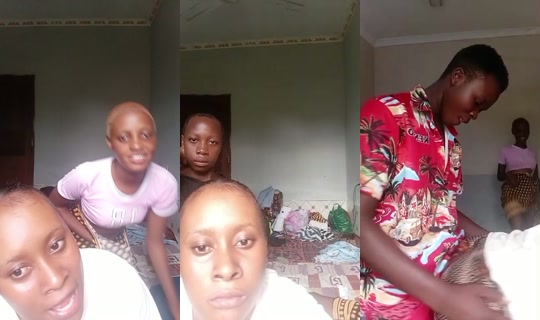 31604056's Live Session — Jun 20, 2026, 11:33 AM