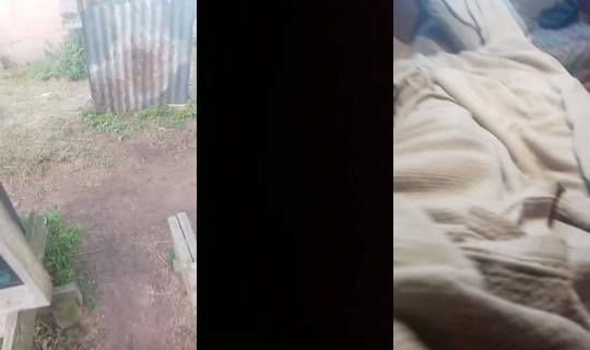32414362's Live Session — Jun 13, 2026, 6:14 AM