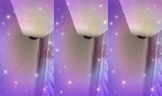 32423010's Live Session — Jun 27, 2026, 3:01 PM