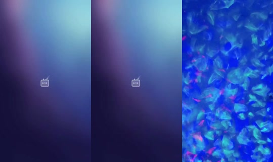 6709696's Live Session — Jun 26, 2026, 7:33 PM