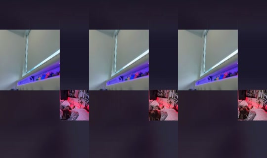 1365854738133950465's Live Session — Jul 6, 2026, 11:13 AM