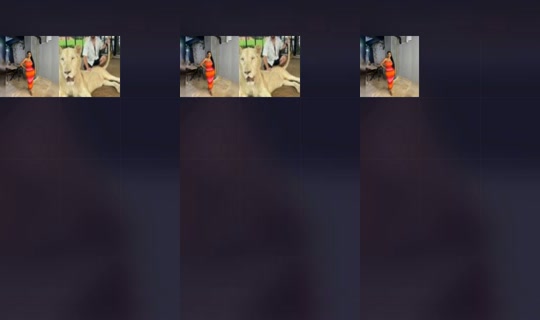1605078000451196929 Saved on May 24, 2026, 7:34 AM