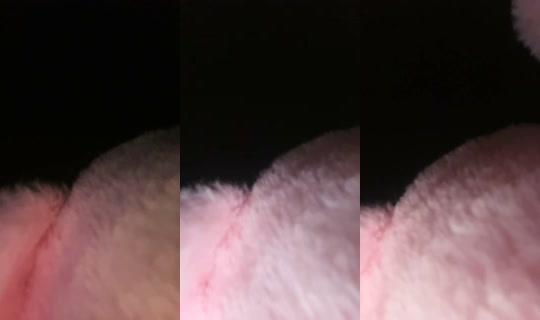 2071718895082935297's Live Session — Jun 30, 2026, 1:46 AM