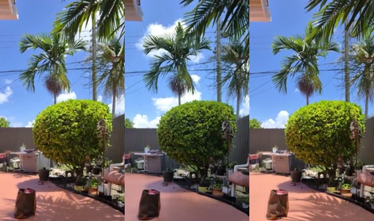 888084595403522048's Live Session — Jun 25, 2026, 4:22 PM