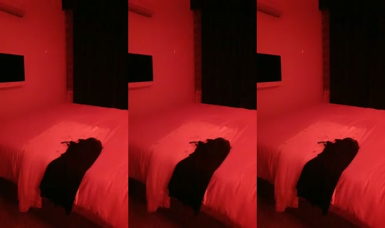 canandfgddh's Live Session — May 19, 2026, 7:31 PM