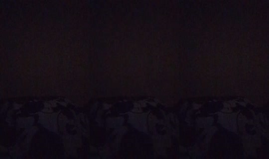 dancing-penguin-88098's Live Session — May 18, 2026, 11:03 PM