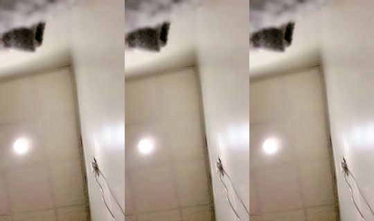 good-rhino-57353's Live Session — May 19, 2026, 3:19 AM