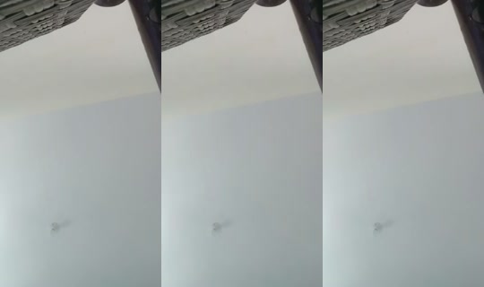 owl2777's Live Session — May 20, 2026, 12:53 AM