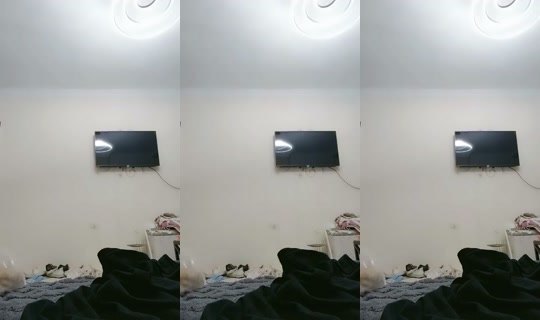 saberkestrel-81739's Live Session — May 16, 2026, 9:17 PM