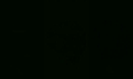 shogunfalcon-81324's Live Session — May 19, 2026, 11:33 PM