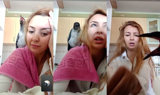 aysebozlar0's Live Session — Jul 3, 2026, 6:44 AM