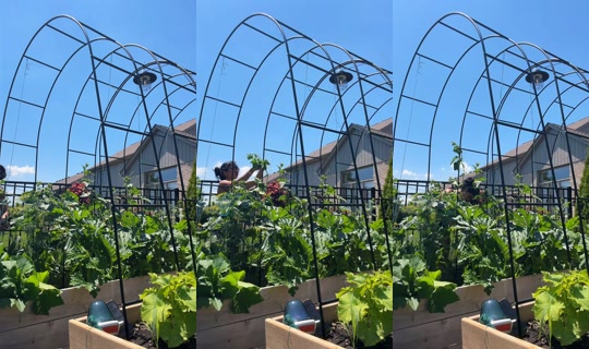 cookthedeenaway's Live Session — Jul 2, 2026, 6:09 PM