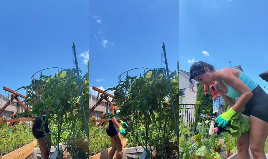 cookthedeenaway's Live Session — Jul 2, 2026, 7:15 PM