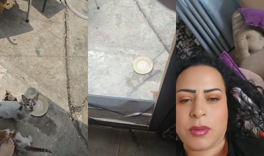 dania.jawad's Live Session — Jul 3, 2026, 10:41 AM
