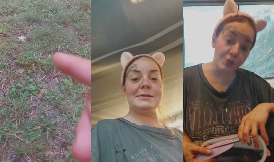 drepalletroll's Live Session — Jul 2, 2026, 3:51 PM