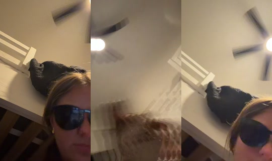 fwzanderrr's Live Session — Jul 3, 2026, 4:09 AM