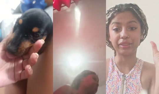 nanii..sz's Live Session — Jul 2, 2026, 12:43 PM