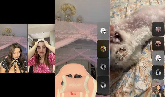 official_alishabasnet's Live Session — Jul 4, 2026, 1:39 AM