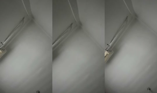 pieceloo's Live Session — Jul 2, 2026, 2:41 PM