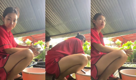piyarat19's Live Session — Jul 3, 2026, 12:39 AM