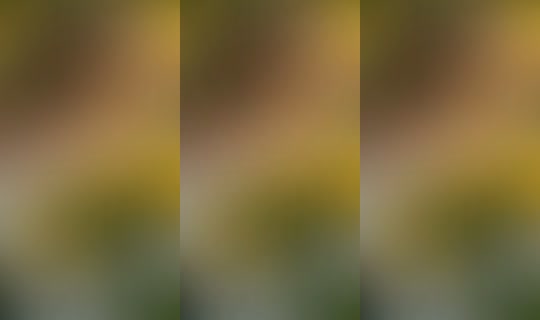 tugbaa.kara's Live Session — Jul 3, 2026, 3:42 PM