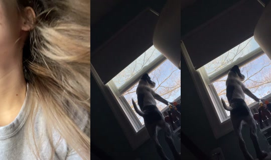 avaawillson Saved on Apr 27, 2026, 4:01 PM