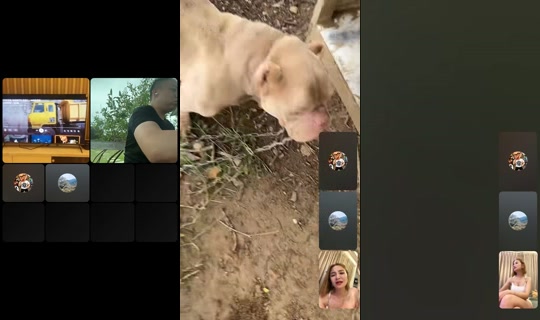fbdghfse's Live Session — Jun 14, 2026, 4:22 AM