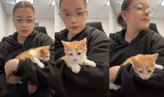 haijade's Live Session — Apr 27, 2026, 2:54 PM