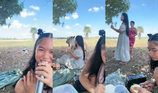 jonnarosetaguiam's Live Session — May 1, 2026, 1:47 AM