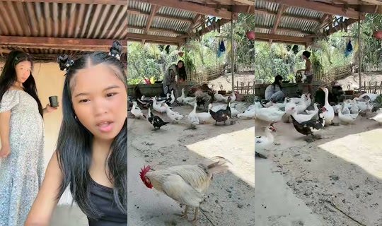 jonnarosetaguiam's Live Session — May 1, 2026, 4:56 AM
