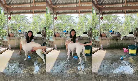 jonnarosetaguiam's Live Session — May 1, 2026, 6:02 AM