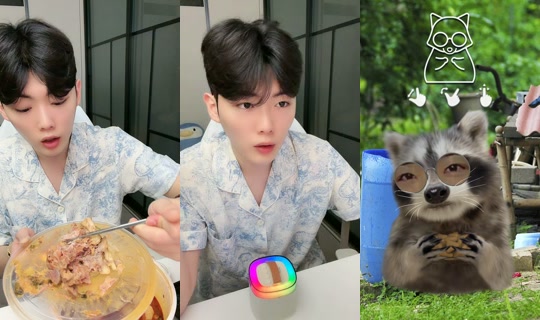 pig_subi's Live Session — Jun 14, 2026, 3:32 AM